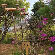 Paju Gamaksan Pension