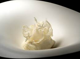 Hotel Villa Fontaine Premier Haneda Airport