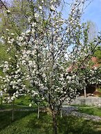 Kish Adasi - Kish Island