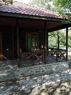 Kish Adasi - Kish Island