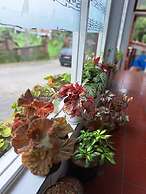 Wisma & Kantin Amanda