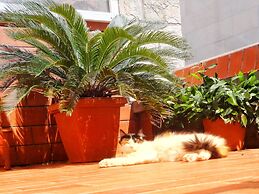 Heart of the City Apartments