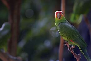 Pullman Doha West Bay