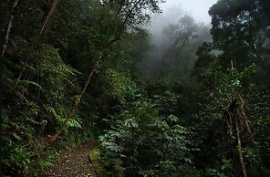 El Dorado Nature Reserve