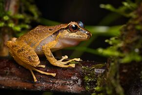 El Dorado Nature Reserve