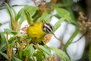 El Dorado Nature Reserve