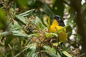 El Dorado Nature Reserve