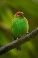 El Dorado Nature Reserve