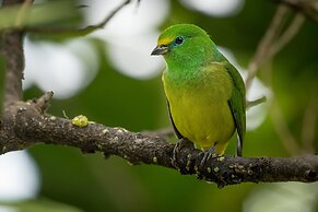 El Dorado Nature Reserve