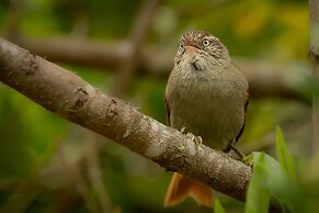 El Dorado Nature Reserve