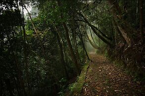 El Dorado Nature Reserve