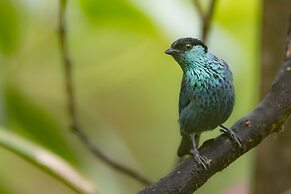 El Dorado Nature Reserve