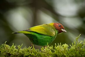 El Dorado Nature Reserve