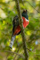 El Dorado Nature Reserve