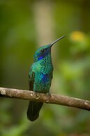 El Dorado Nature Reserve