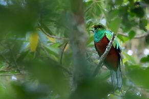 El Dorado Nature Reserve