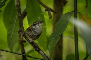 El Dorado Nature Reserve