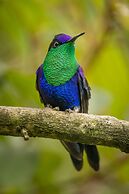 El Dorado Nature Reserve