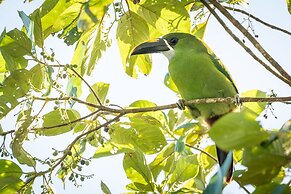El Dorado Nature Reserve