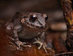 El Dorado Nature Reserve