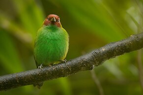 El Dorado Nature Reserve