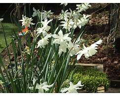 Queens Road Rental - Winchester Accommodation