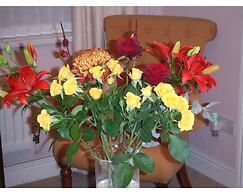 Queens Road Rental - Winchester Accommodation