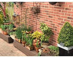 Queens Road Rental - Winchester Accommodation