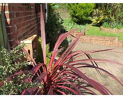 Queens Road Rental - Winchester Accommodation