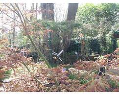 Queens Road Rental - Winchester Accommodation