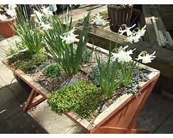 Queens Road Rental - Winchester Accommodation