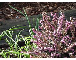 Queens Road Rental - Winchester Accommodation