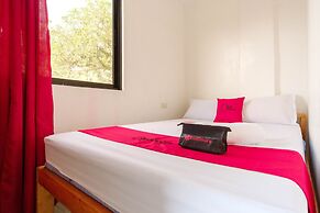 RedDoorz near Coron Coliseum