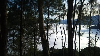 Big Dipper Sagada