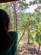 Big Dipper Sagada