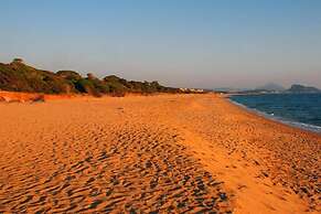 Seaview Flat In An Olive Grove By The Beach