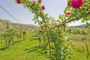 Agriturismo Ardene