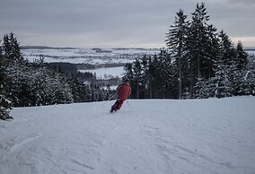 Hotel Ski