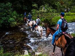 Hotel Boutique Palmas de Salento