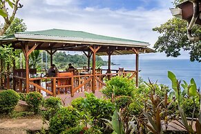Cotingas Ocean View