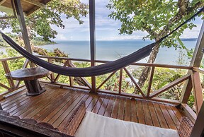 Cotingas Ocean View