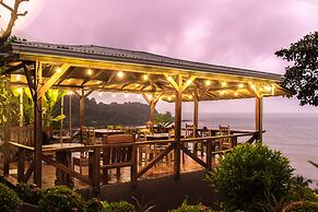 Cotingas Ocean View