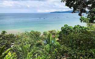 Cotingas Ocean View