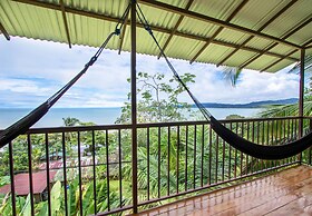 Cotingas Ocean View