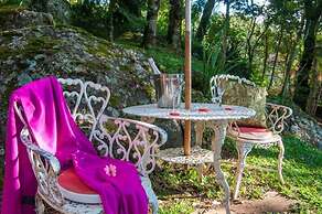 Pousada Alto da Neblina