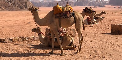 Rashed Awwad Camp With Tour