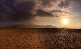 Rashed Awwad Camp With Tour