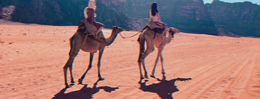 Rashed Awwad Camp With Tour