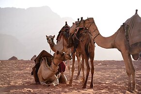 Rashed Awwad Camp With Tour