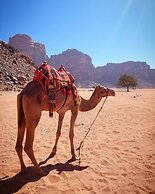 Rashed Awwad Camp With Tour